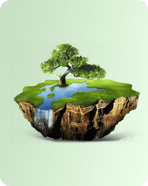 sustainable food packaging solutions